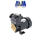 Pompa Air Sumur Shimzu PS 226 BIT 1