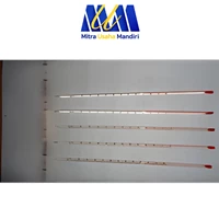 Thermometer Alkohol Skala -10 C - 110 C