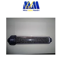 Antioxidant ORP Cartridge / Alkaline Water