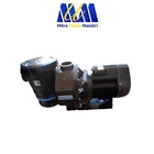 The SB series pool pump GRUNDFOS 1