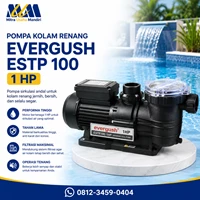 Evergush ESTP 100 Swimming Pool Pump 1 HP