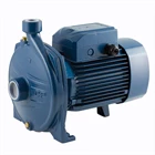 Centrifugal pump Pedrollo type CPm 158 3