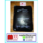 Calgon F 100 Activated Carbon 1