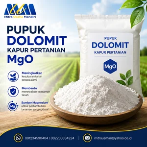 Pupuk Dolomit Kapur Pertanian MgO