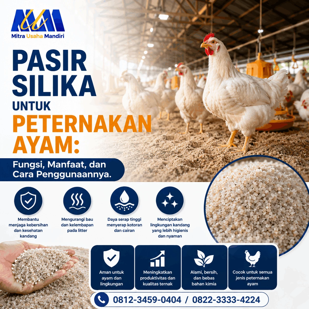 Pasir Silika untuk Peternakan Ayam: Fungsi, Manfaat, dan Cara Penggunaannya