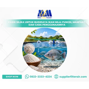 Pasir Silika untuk Budidaya Ikan Nila: Fungsi, Manfaat, dan Cara Penggunaannya