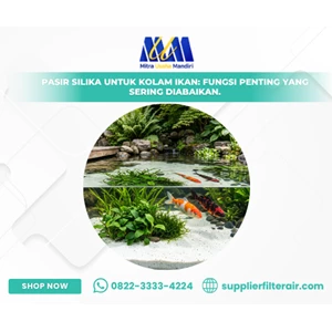 Pasir Silika untuk Kolam Ikan: Fungsi Penting yang Sering Diabaikan