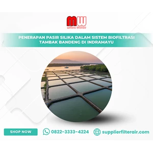 Penerapan Pasir Silika dalam Sistem Biofiltrasi Tambak Bandeng di Indramayu