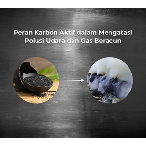 Peran Karbon Aktif dalam Mengatasi Polusi Udara dan Gas Beracun