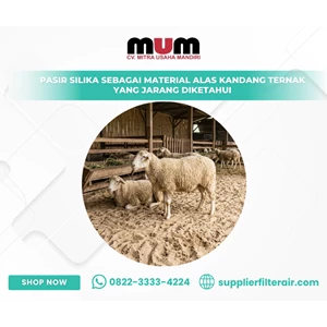 Pasir Silika sebagai Material Alas Kandang Ternak yang Jarang Diketahui
